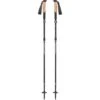 Black Diamond Alpine FLZ Trekkingstokken (Paar) - Carbon -Sporten Buiten 270267 00 d 540468