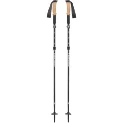 Black Diamond Alpine FLZ Trekkingstokken (Paar) - Carbon