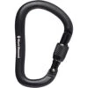 Black Diamond RockLock Screwgate Carabiner - Black -Sporten Buiten black diamond rocklock screwgate carabiner black 829038